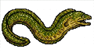 Moray Eel - marine life spotted by Fathy Rashad while diving