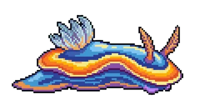 Nudibranch - marine life spotted by Fathy Rashad while diving