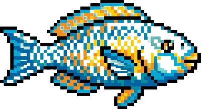 Parrotfish - marine life spotted by Fathy Rashad while diving