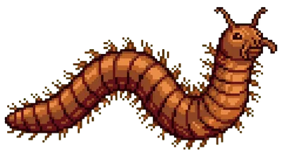 Polychaete Worm - marine life spotted by Fathy Rashad while diving