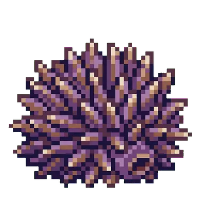 Sea Urchin - marine life spotted by Fathy Rashad while diving