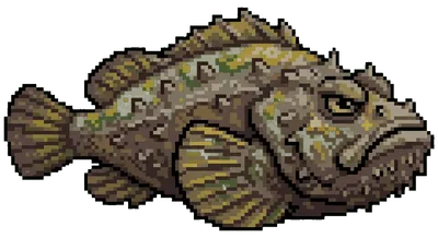 Stonefish - marine life spotted by Fathy Rashad while diving