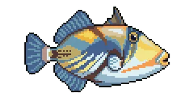 Triggerfish - marine life spotted by Fathy Rashad while diving