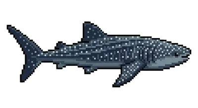 Whale Shark - marine life spotted by Fathy Rashad while diving