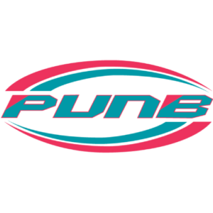 PUNB icon