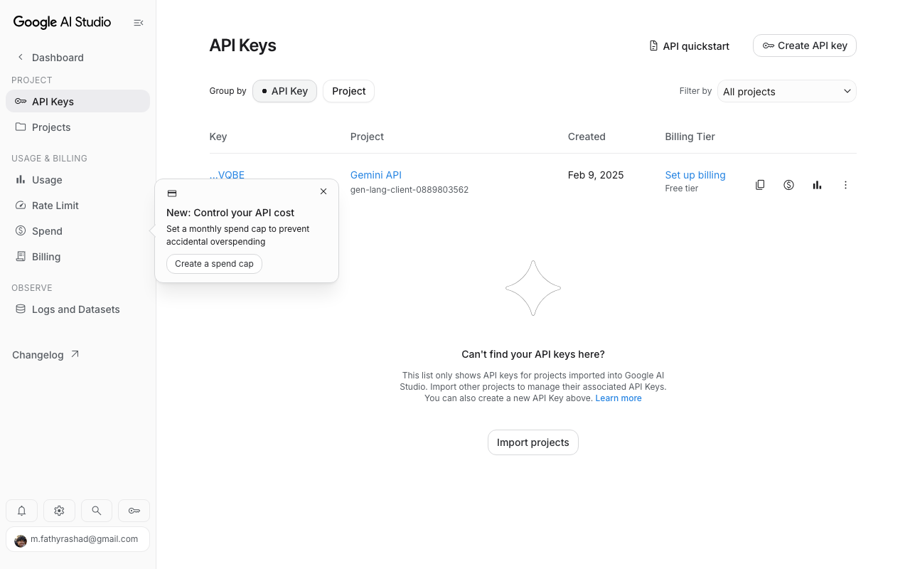 Google AI Studio (Gemini API) preview