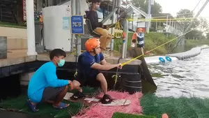 Fathy Rashad hobby - Wakesurfing